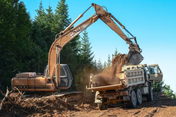 Dendy Casino Soporte